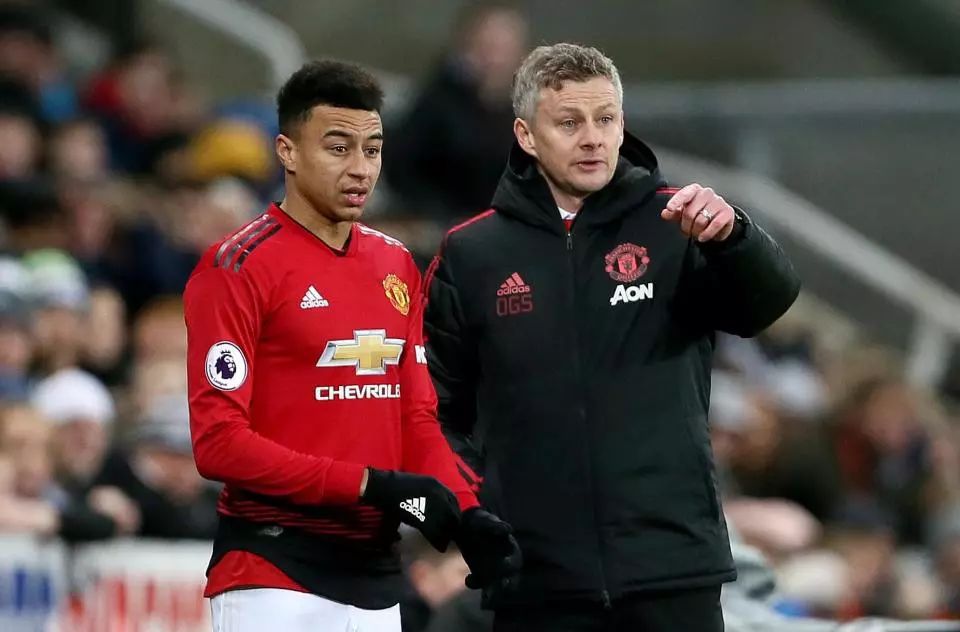 是社会力量 是社会力量