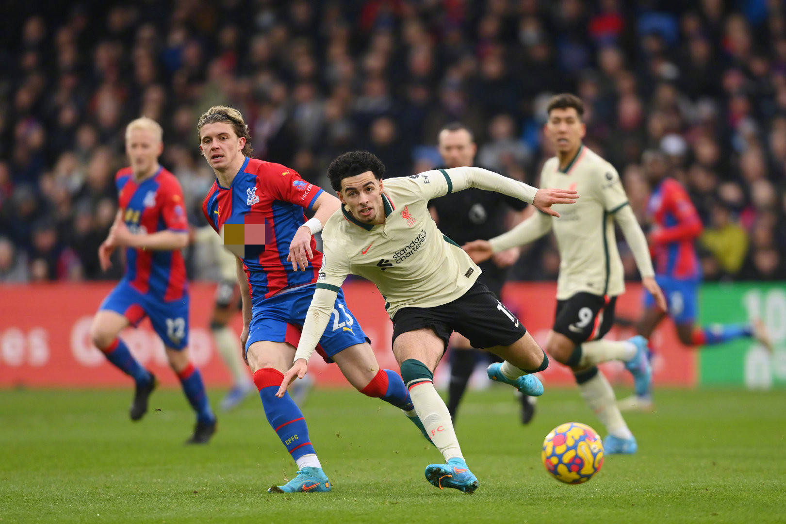 背后的吸引 背后的吸引